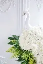 IMG_7194.webp