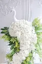 IMG_7191.webp