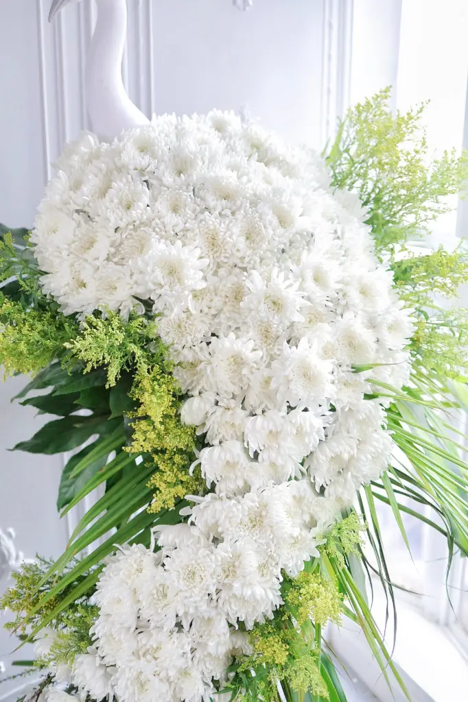 IMG_7192.webp