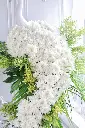 IMG_7192.webp
