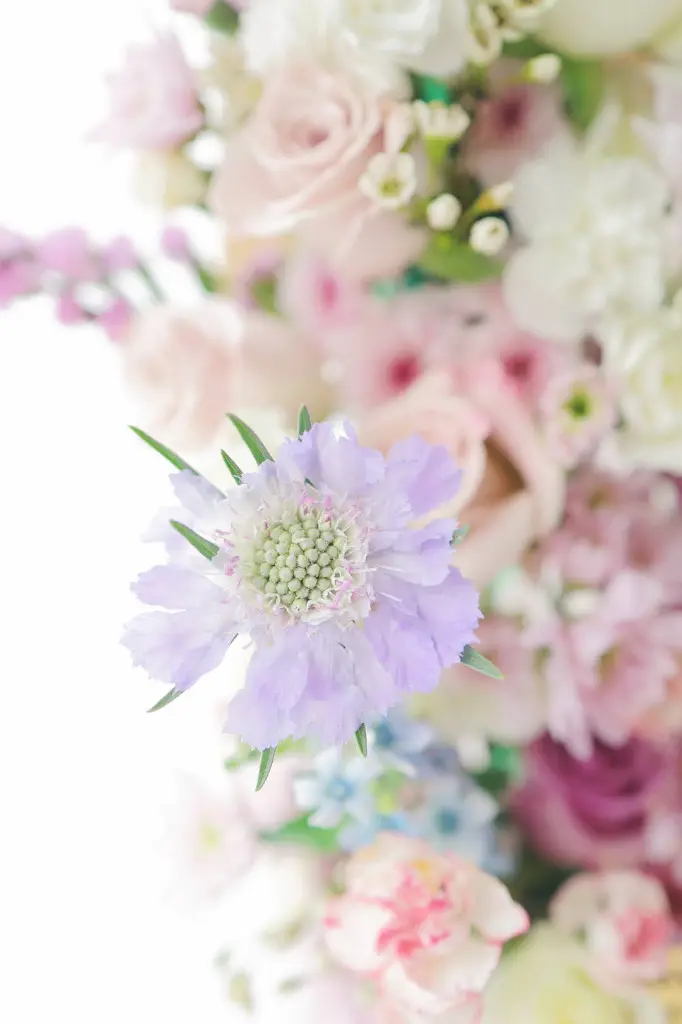 IMG_7685.webp