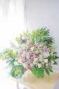 IMG_7690.webp
