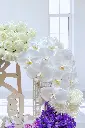 未命名設計.zip - 4.webp