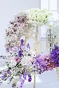 未命名設計.jpg.webp