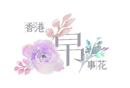 香港帛事花